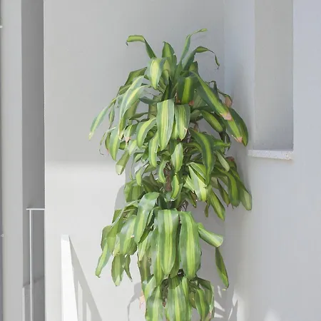 Apartament Liiiving In - Art Design